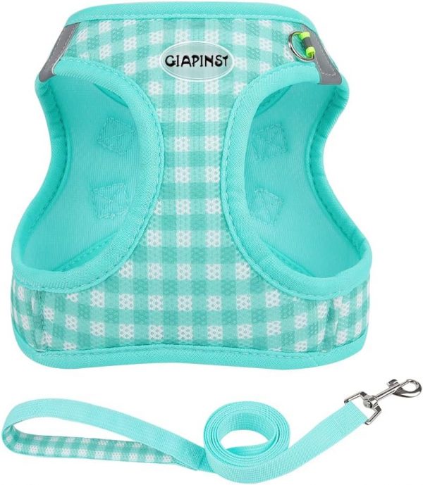 GIAPINST Arnés Perro Pequeños,