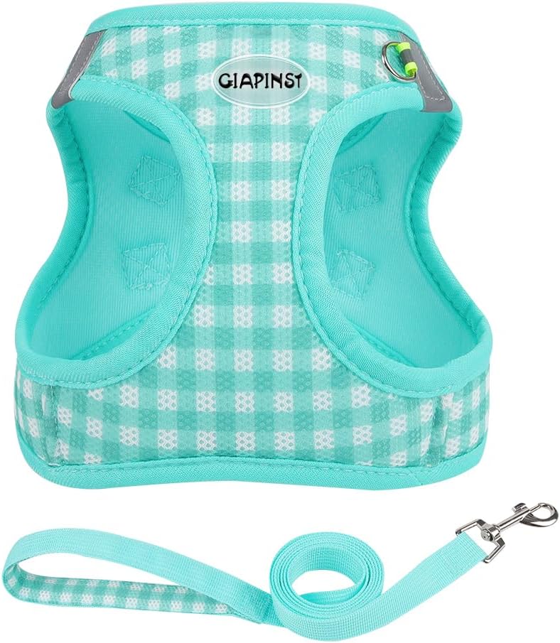GIAPINST Arnés Perro Pequeños,