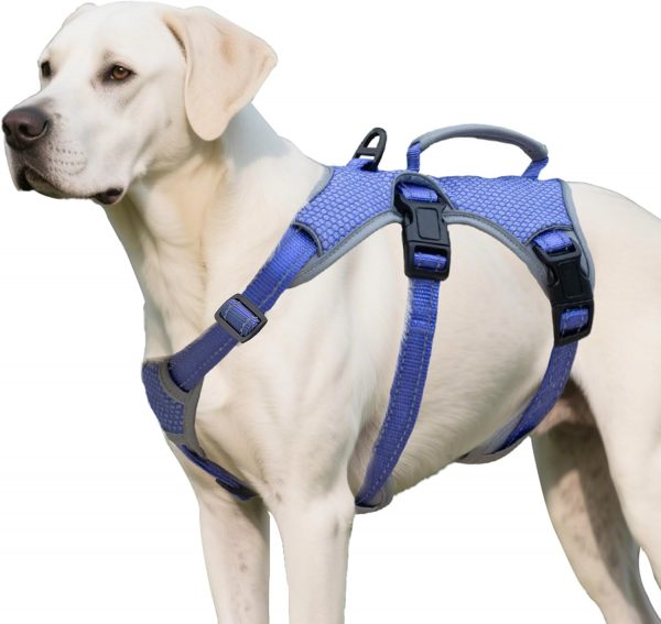 Huntboo Arnes Perro Pequeño Mediano