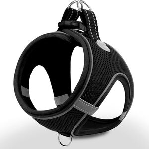 Joytale Arnes Perro, Reflectante