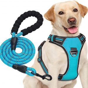 haapaw Arnés para Perro sin Tirar,