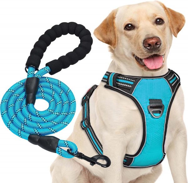 haapaw Arnés para Perro sin Tirar,