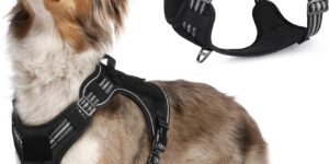 rabbitgoo Arnes Perro Antitirones,