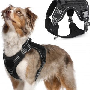 rabbitgoo Arnes Perro Antitirones,