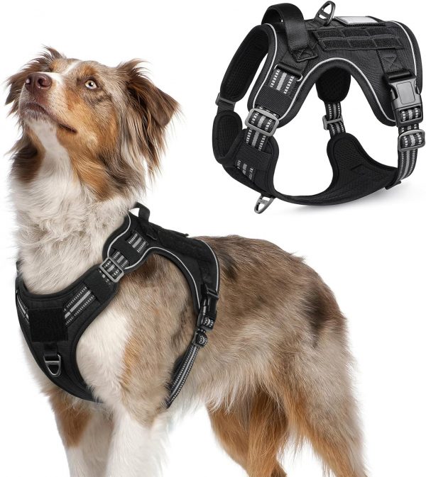 rabbitgoo Arnes Perro Antitirones,