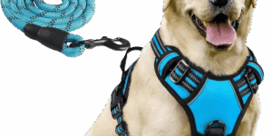 Arnes de perro