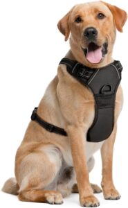 Arnes para Perros Grandes Grande