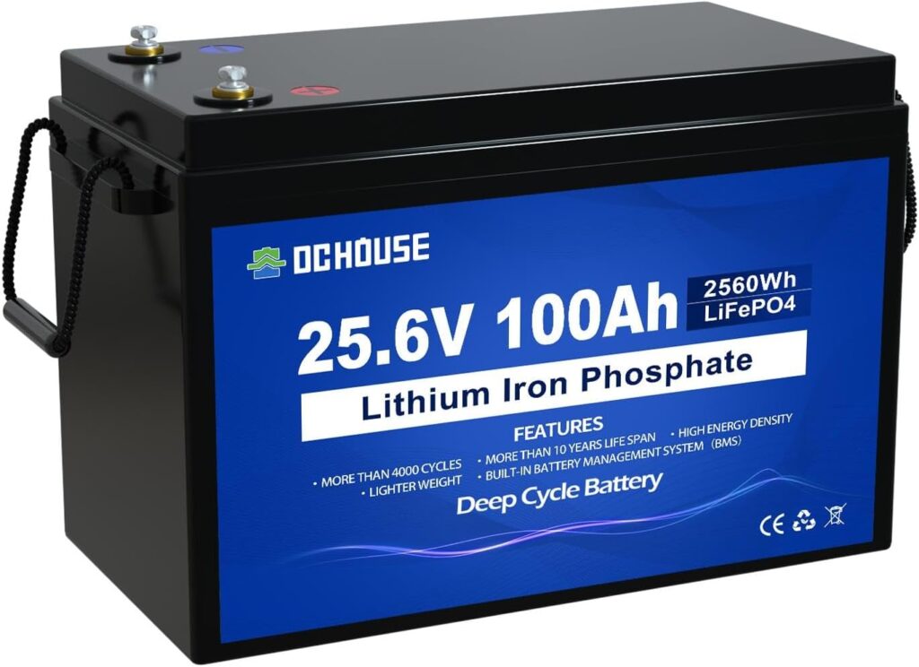 DCHOUSE Bateria Litio 24V 100Ah