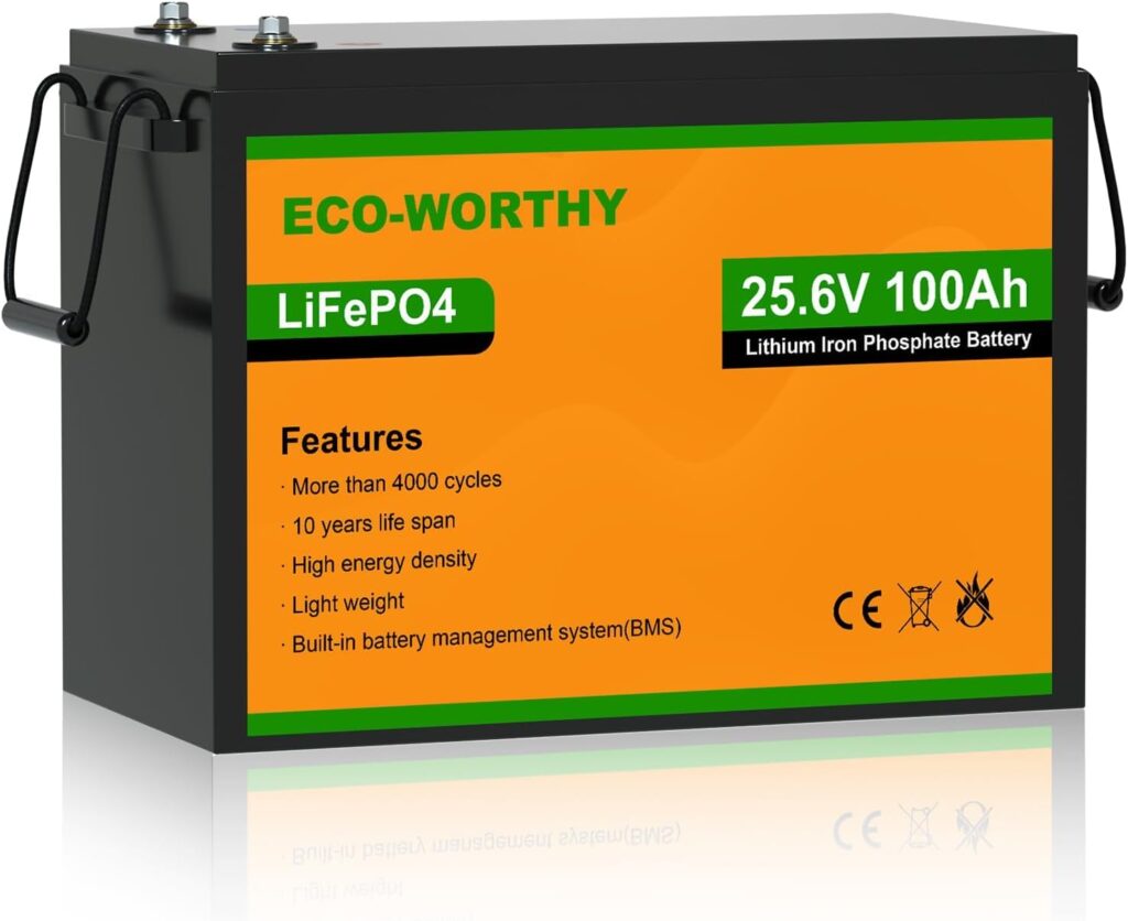 ECO-WORTHY LiFePO4 100Ah 24 V con