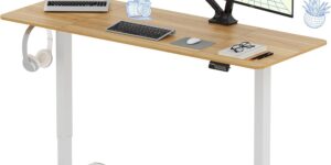 FLEXISPOT Escritorio Elevable