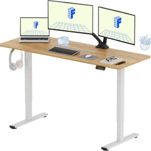 FLEXISPOT Escritorio Elevable