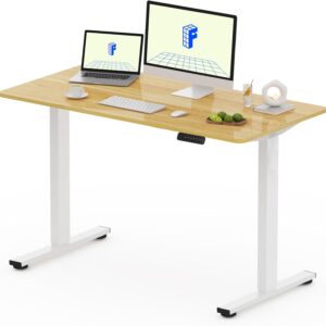 FLEXISPOT FQ Pro Escritorio