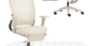 FLEXISPOT Foldex Silla de Oficina