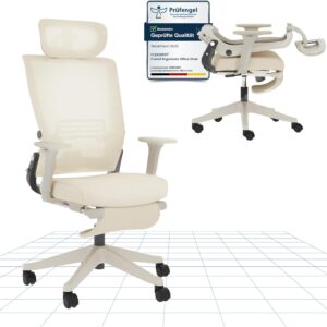 FLEXISPOT Foldex Silla de Oficina