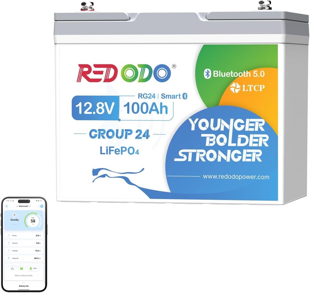 Redodo 12,8V 100Ah Group24