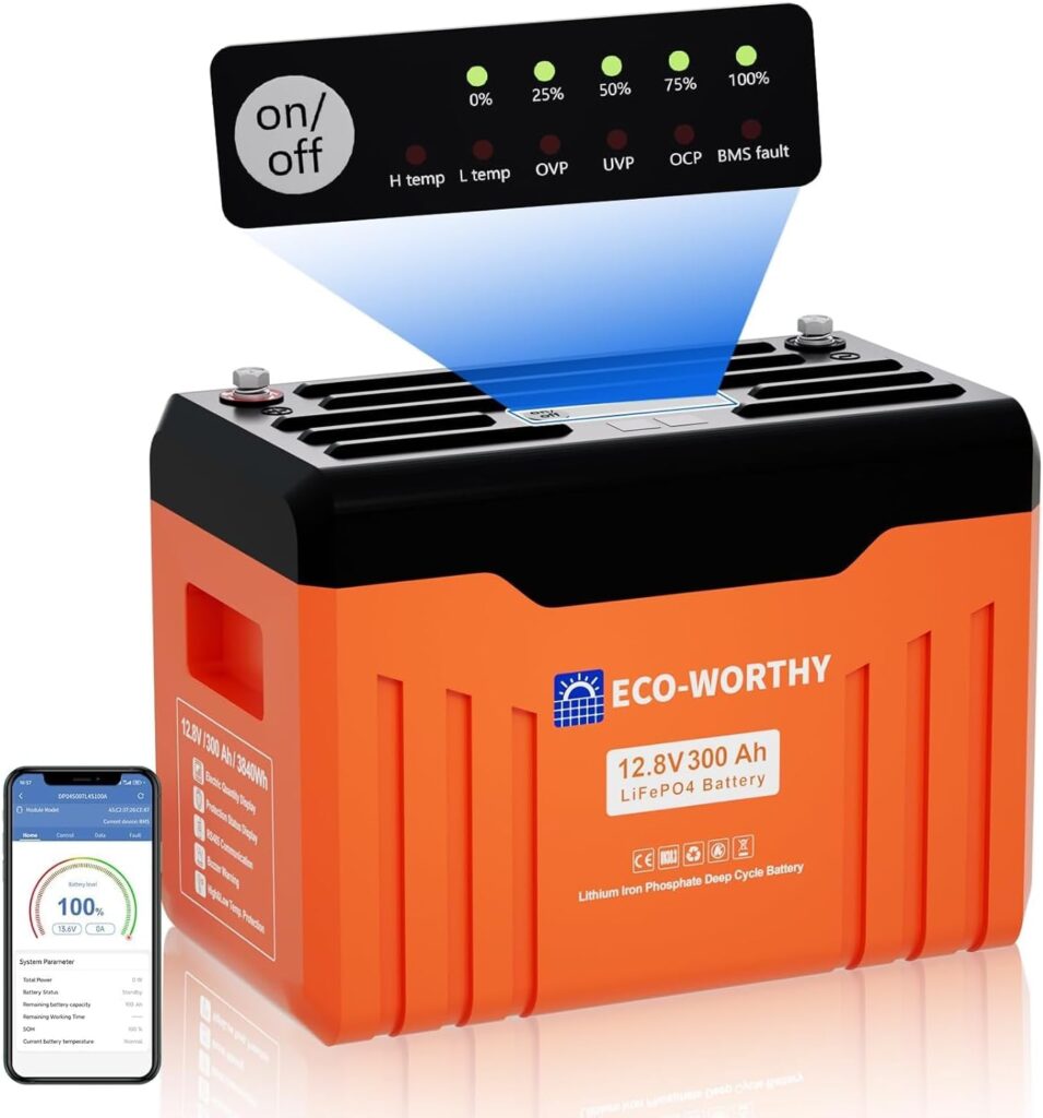 ECO-WORTHY LiFePO4 Bluetooth 12 V