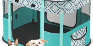 Mascotas y animales