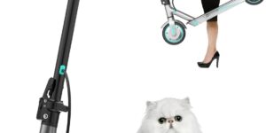 Patinete Eléctrico Alta Potencia de