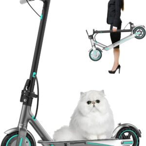 Patinete Eléctrico Alta Potencia de