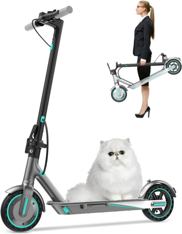 Patinete Eléctrico Alta Potencia de