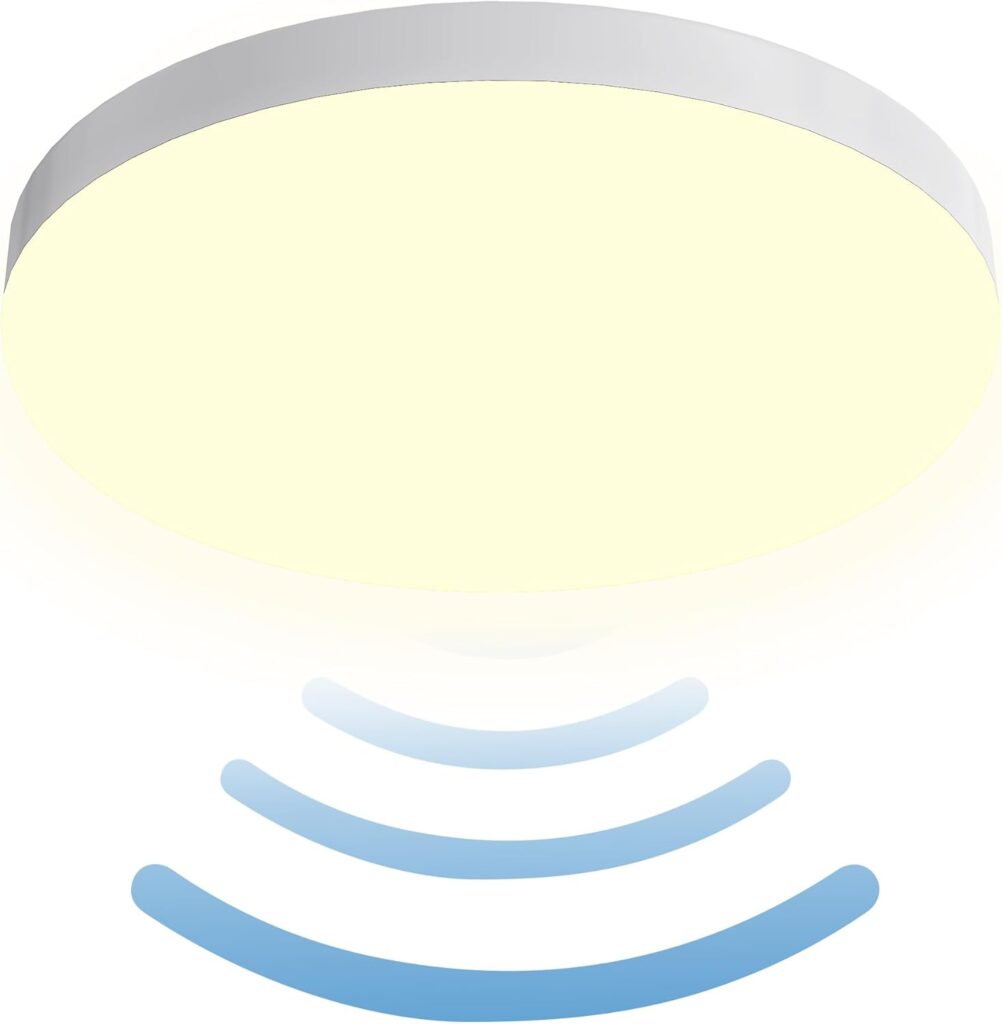 SHYOSUCCE LED Ceiling Light,