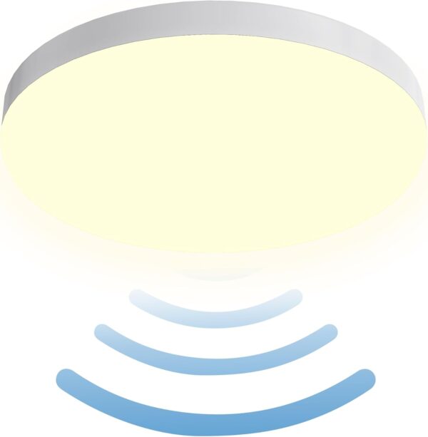 SHYOSUCCE LED Ceiling Light,